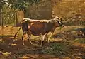 Kráva na pastvě (asi 1890)