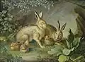 Jan Václav Peter – zajíci a králíci