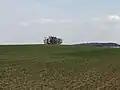 Jankov, remízek na vrcholu