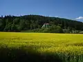Pohled od severovýchodu