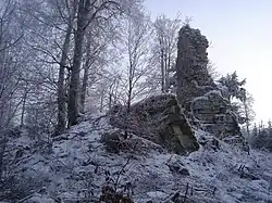 Zřícenina hradu Janštejn