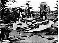 Obrázek z knihy European and Japanese gardens.
