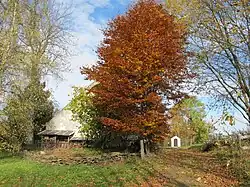 Jarkovice