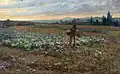 Jaroslav Špillar Strašák v zelném poli (1893)