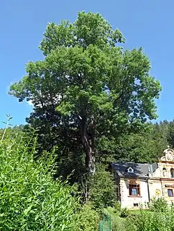 Celkový pohled