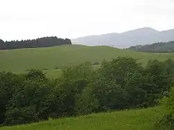 Javoří hory