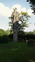 Pohled od jihu
