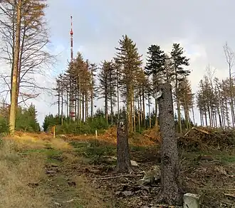 Kůrovcová těžba (podzim 2019)