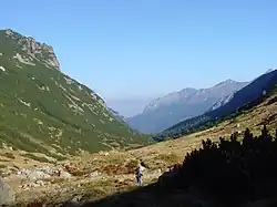 Zadná Javorová dolina
