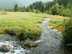 Jazierce, vodní zdroj
