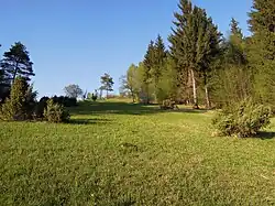 Ježůvka