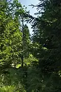 Další z možných pramenů