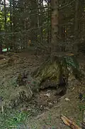 Jeden z pramenů