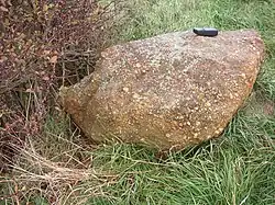 Jemniky_KL_CZ_menhir_050.jpg