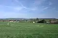 Pohled zdáli