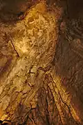 Jeskyně Lidomorna
