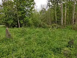 Jestřabí
