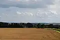Panoramata