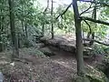 Jestřebické pokličky