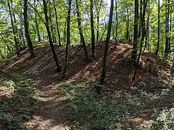 Jevín - pozůstatky hradu nad Jeviněvsí (1).jpg
