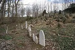 Jewish Cemetery Švihov 16.JPG