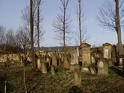 Jewish cemeterie in Velka Bukovina 114.JPG
