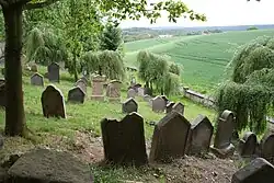 Jewish cemetery in Veselice 08.JPG