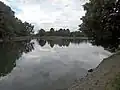 Vzduté Labe těsně nad jezem