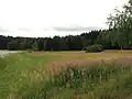Jezdovické rašeliniště