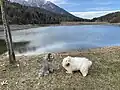 Jezero Andalo na začátku pěšího okruhu