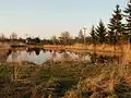 Jezero Lávka v rámci Holáseckých jezer
