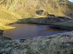 Lacul Scărişoara