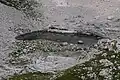 Jezero pod Vršacem