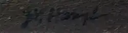 Podpis
