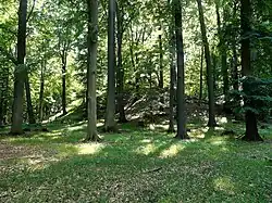 Jižní vrchol Radechova