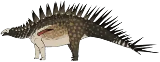 popis obrázku chybí