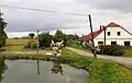 Rybník na návsi