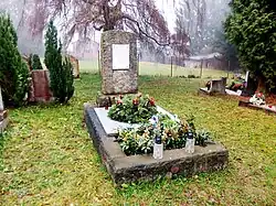 Jilemnice, evangelický hřbitov, Hanč (2).jpg