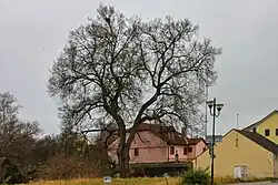 Pohled od východu