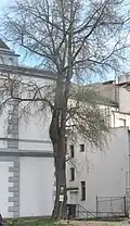 Jinan dvoulaločný v areálu bývalé zemědělské školy