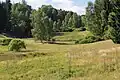 Jindřichovský mokřad v srpnu