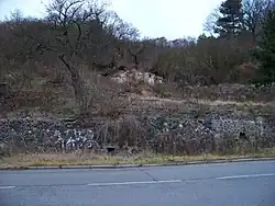 ruiny Božinky
