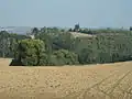Výhled do Posázaví
