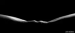 Jiří Růžek: České středohoří, 2006, fotografie získala první místo v soutěži Akty X 2009 časopisu Reflex
