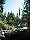Cesta k vrcholu vede po balvanech