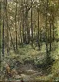 Josef Ullmann Tůňka (kolem r. 1900)