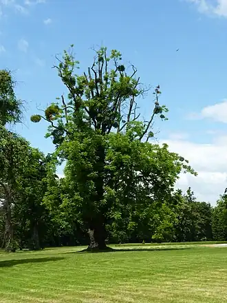 alternativní popis obrázku chybí
