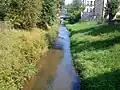 Pegnitz po soutoku s pravým ramenem Fichtenohe