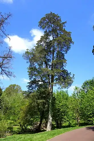 alternativní popis obrázku chybí
