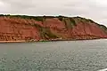 Orcombe Point